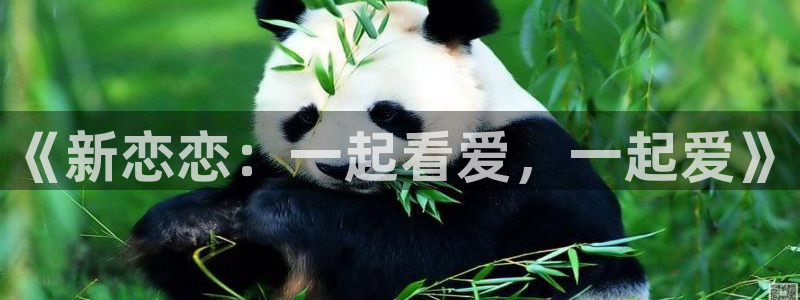 俄罗斯69视频：《新恋恋：一起看爱，一起爱》