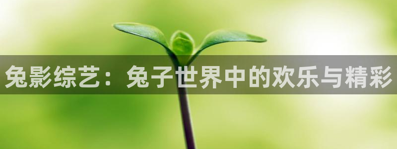 日本69视频jizz：兔影综艺：兔子世界中的欢乐与精彩