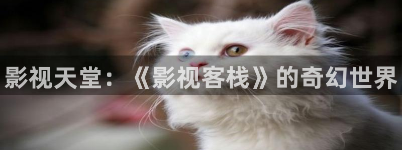 69视频国产：影视天堂：《影视客栈》的奇幻世界