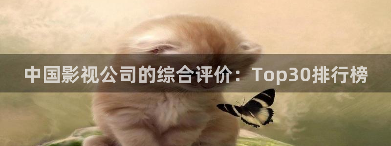 69视频网站：中国影视公司的综合评价：Top30排行榜