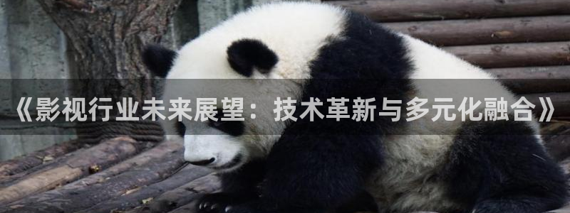69视频分类在线观看：《影视行业未来展望：技术革新与多元化融合》