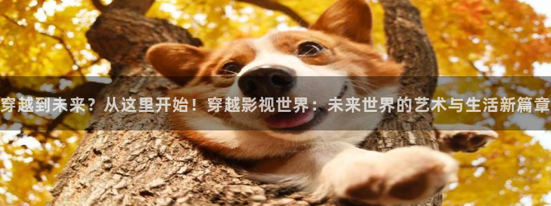 免费69视频看：穿越到未来？从这里开始！穿越影视世界：未来世界的艺术与生活新篇章