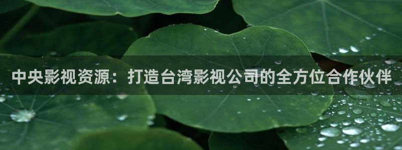 69视频福利：中央影视资源：打造台湾影视公司的全方位合作伙伴
