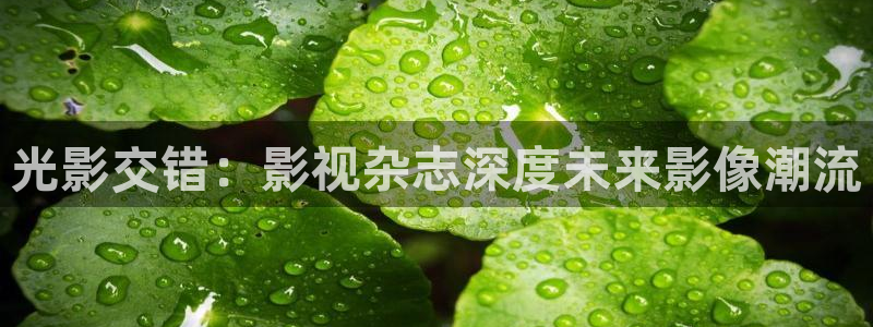 69视频在线观看免费观看：光影交错：影视杂志深度未来影像潮流