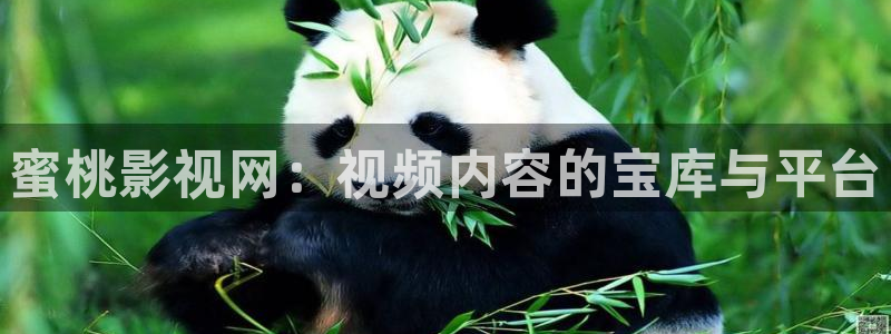 69视频在线免费播放：蜜桃影视网：视频内容的宝库与平台